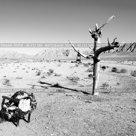 chair in iran blur old dead tree in the empty desert of persia lamp oil on branch. Стоковое фото, агентство Ingram Publishing / Фотобанк Лори