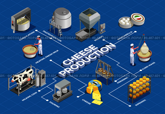 Cheese production isometric flowchart illustrated process from milk yield and pasteurization to fermenting pressing and ripening vector illustration. Стоковая иллюстрация, агентство Ingram Publishing / Фотобанк Лори