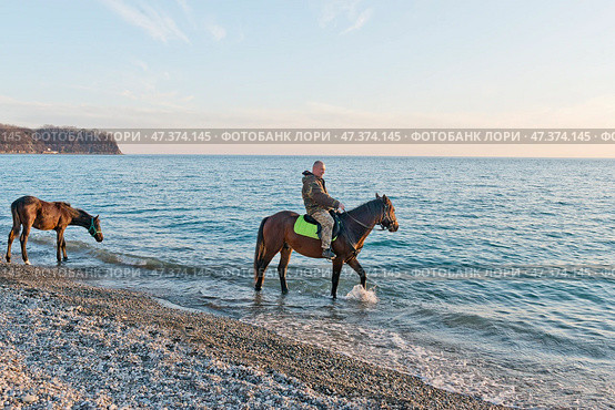 Черное море, осень, закат солнца, всадник на водопое коня,  жеребенок. Краснодарский край, Туапсинский район, Михайловская бухта. Стоковое фото, фотограф Александр Циликин / Фотобанк Лори