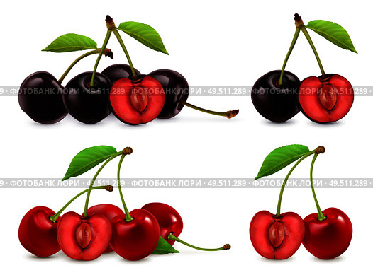Cherries. Whole and half berries. 3d realistic vector set. Стоковая иллюстрация, агентство Ingram Publishing / Фотобанк Лори