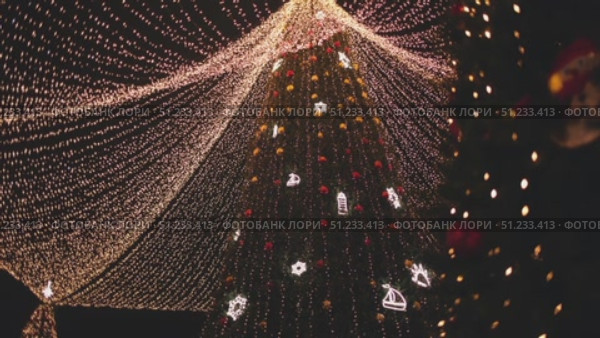 Christmas tree with illumination in the night city. Christmas trees with lights and decoration, winter season. Стоковое видео, видеограф Wonderful nature / Фотобанк Лори
