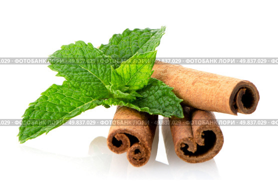Cinnamon sticks and fresh bergamot mint leaf on white background. Стоковое фото, агентство Ingram Publishing / Фотобанк Лори