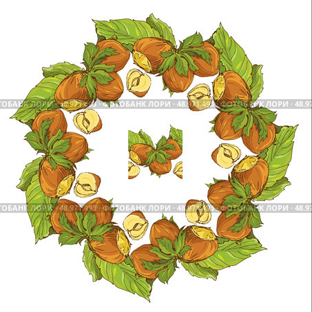 Circle ornament with highly detailed hand drawn hazelnuts isolated on white background. Pattern endless fragment. . Стоковая иллюстрация, агентство Ingram Publishing / Фотобанк Лори