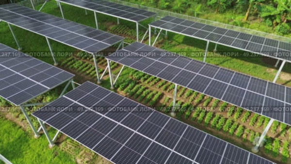 Clean energy and green farming from drone in a sustainable model. Стоковое видео, видеограф ALEJANDRO PEREZ ALVARES / Фотобанк Лори
