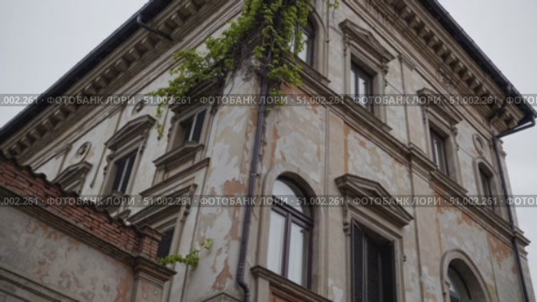 Climbing vegetation covering weathered stone facade of historic Roman building, revealing architectural aging and natural reclamation process. Стоковое AI-видео, аниматор Данил Руденко / Фотобанк Лори