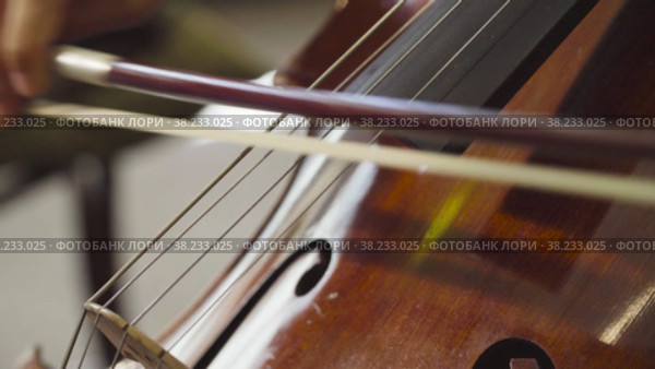 Close up female hands playing violoncello. Стоковое видео, видеограф Chudakov_Ivan / Фотобанк Лори