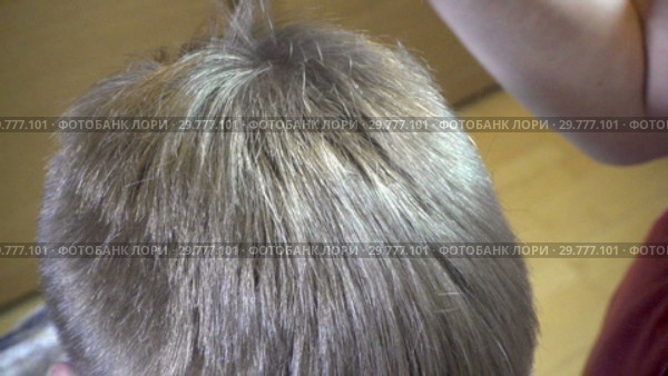 Close up of a hairstyle of the man the machine for a hairstyle of hair the hairdresser. Стоковое видео, видеограф Куликов Константин / Фотобанк Лори