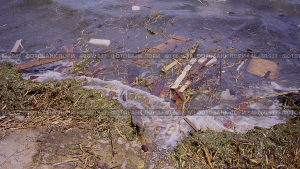 Close-up of floating debris has reached Black Sea beaches in Odessa, Ukraine. Environmental disaster caused by the explosion of Kakhovka Hydroelectric Power Plant dam. Стоковое фото, фотограф Некрасов Андрей / Фотобанк Лори