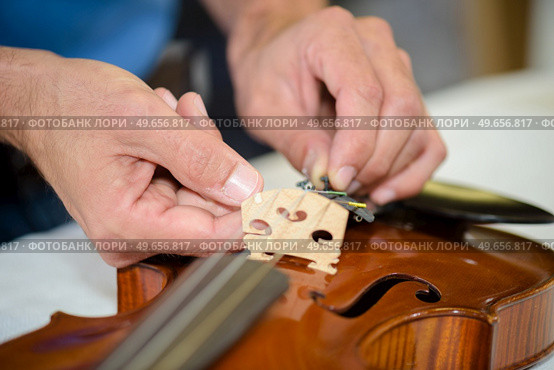close up of hands connecting the violin bridge. Стоковое фото, агентство Ingram Publishing / Фотобанк Лори