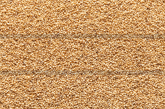 closeup amaranth seeds organic food background . Стоковое фото, агентство Ingram Publishing / Фотобанк Лори