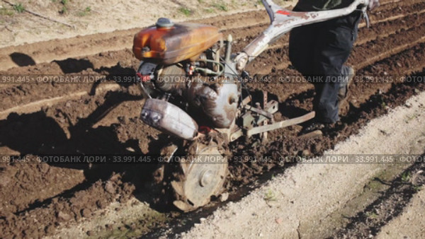 Closeup of hand plough tilling soil on field before seeding. Spring agricultural work. Стоковое видео, видеограф Яков Филимонов / Фотобанк Лори