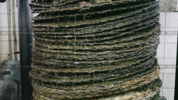 Closeup of stack of fiber mats with grinded olive paste during pressing of olive oil on artisanal factory. Стоковое видео, видеограф Яков Филимонов / Фотобанк Лори