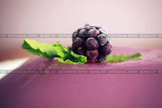 Closeup on a purple jelly pudding with a blackberry and mint leaves on top. Стоковое фото, агентство Ingram Publishing / Фотобанк Лори