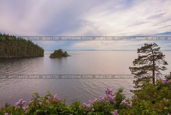 Cloudy morning on Lake Ladoga. Beautiful summer lake landscape. Valaam Island, Karelia, Russia (2011 год). Стоковое фото, фотограф Юлия Бабкина / Фотобанк Лори
