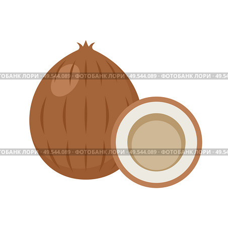 Coco on a white background isolated. Vector illustration. Стоковая иллюстрация, агентство Ingram Publishing / Фотобанк Лори