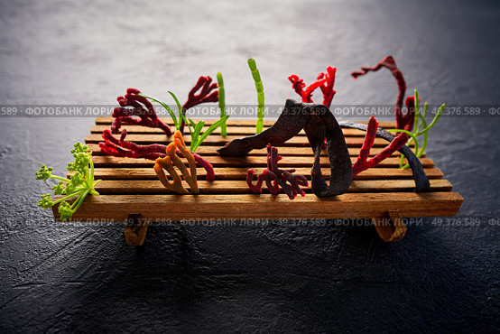 codium seaweed salad modern cuisine with marine fennel and colorful algae. Стоковое фото, агентство Ingram Publishing / Фотобанк Лори