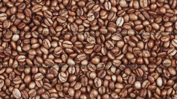 Coffee beans background. Harvesting coffee fruits. Roasted beans close-up. Space for your text. Стоковое видео, видеограф Наталия Попова / Фотобанк Лори
