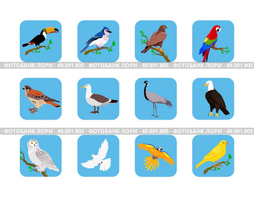 Collection of various birds flat design. Birds flying, owl and animals, bird vector, eagle wild, wildlife character, fauna and flying, toucan and zoology illustration. Стоковая иллюстрация, агентство Ingram Publishing / Фотобанк Лори