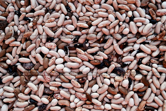 Colorful bean texture background. Стоковое фото, агентство Ingram Publishing / Фотобанк Лори
