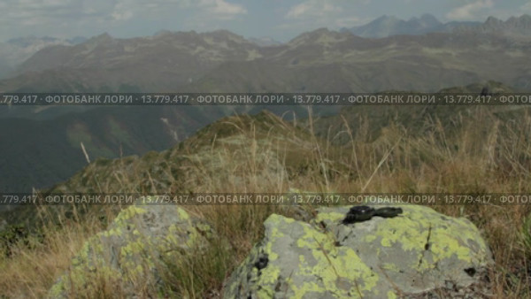 compass on stone. Стоковое видео, видеограф Владислав Корнилов / Фотобанк Лори