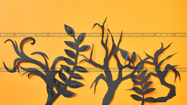 Composition of paper handcraft leaves and trees branches on an orange background with space for text. Halloween postcard. Flat lay. Mystical pattern of black paper handcraft leaves and trees on an orange background with space for text. Halloween layout. Flat lay. Стоковое фото, агентство Ingram Publishing / Фотобанк Лори