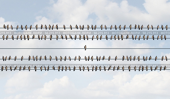 Concept of Individuality and independent thinker as birds on a wire with one individual bird alone as a business icon for new innovative thinking or independent leader with 3D illustration elements.. Стоковое фото, агентство Ingram Publishing / Фотобанк Лори