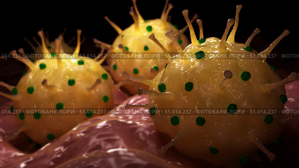 Conceptual biomedical illustration of genital herpes on surface. Стоковое фото, фотограф Stocktrek Images, Inc. / ТАСС / Фотобанк Лори