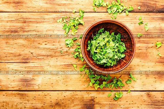 Condiment or spice made from dried green parsley.Copy space. Dried parsley spice. Стоковое фото, агентство Ingram Publishing / Фотобанк Лори