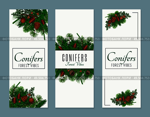 Conifer vertical banners set with forest vibes symbols flat isolated vector illustration. Стоковая иллюстрация, агентство Ingram Publishing / Фотобанк Лори