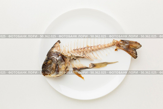 cooked fish leftovers white plate. Стоковое фото, агентство Ingram Publishing / Фотобанк Лори