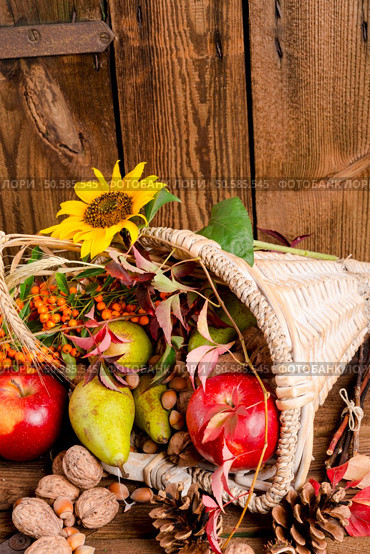 Cornucopia. Стоковое фото, агентство Ingram Publishing / Фотобанк Лори