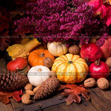 Cornucopia. Стоковое фото, агентство Ingram Publishing / Фотобанк Лори