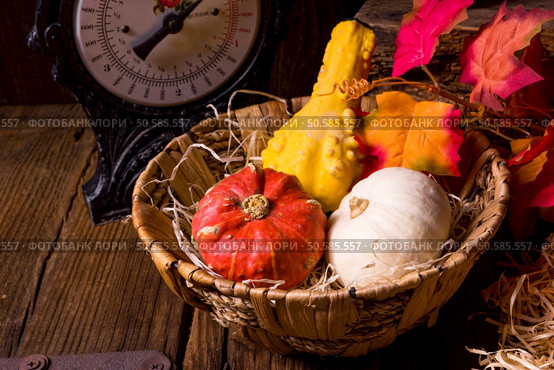 Cornucopia. Стоковое фото, агентство Ingram Publishing / Фотобанк Лори