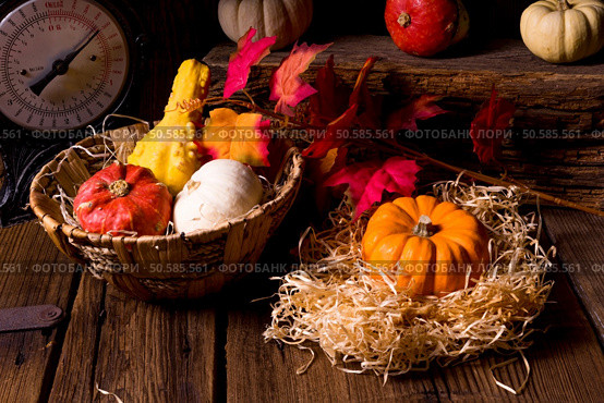 Cornucopia. Стоковое фото, агентство Ingram Publishing / Фотобанк Лори