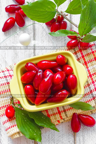 Cornus. Стоковое фото, агентство Ingram Publishing / Фотобанк Лори