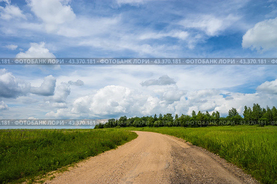 Countryside road summer day. Стоковое фото, фотограф Оксана Владимировна Грачева / Фотобанк Лори