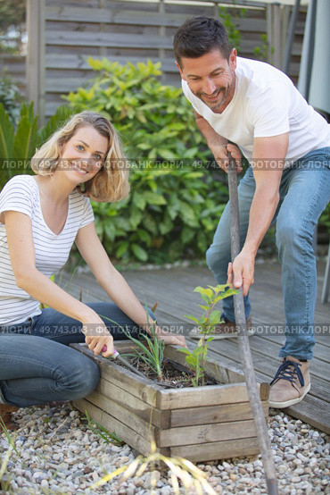 couple tending to their back garden. Стоковое фото, агентство Ingram Publishing / Фотобанк Лори