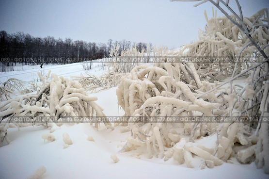 Covered with a large layer of ice tree branches. Стоковое фото, фотограф Анна Кривицкая / Фотобанк Лори