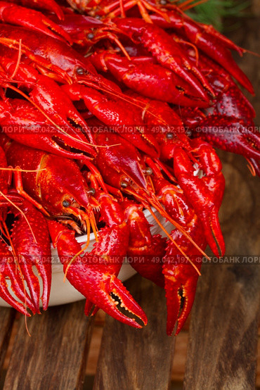 Crayfish.  red boiled  Crayfish in bowl  close up. Стоковое фото, агентство Ingram Publishing / Фотобанк Лори