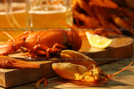 Crayfish with beer on a wooden table. Стоковое фото, фотограф Марина Володько / Фотобанк Лори