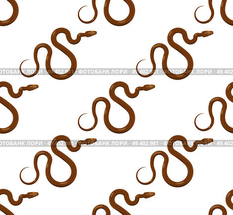 Curved slither snake seamless pattern. Creeping scaly brown tropical snake with yellow eves vector on white background. Crawling reptile illustration for wrapping paper, prints on fabric. Стоковая иллюстрация, агентство Ingram Publishing / Фотобанк Лори