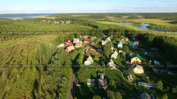 Дачный поселок в лесу у реки, Карелия. Стоковое фото, фотограф Кекяляйнен Андрей / Фотобанк Лори