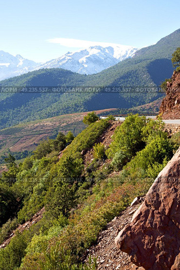 dades valley in atlas moroco   africa ground tree  and nobody. Стоковое фото, агентство Ingram Publishing / Фотобанк Лори