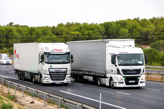 DAF XF and MAN TGX (2019 год). Редакционное фото, фотограф Art Konovalov / Фотобанк Лори