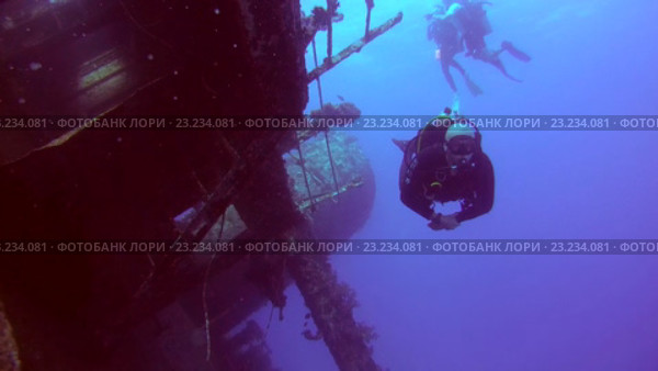 Дайверы в Красном море. Стоковое видео, видеограф Некрасов Андрей / Фотобанк Лори