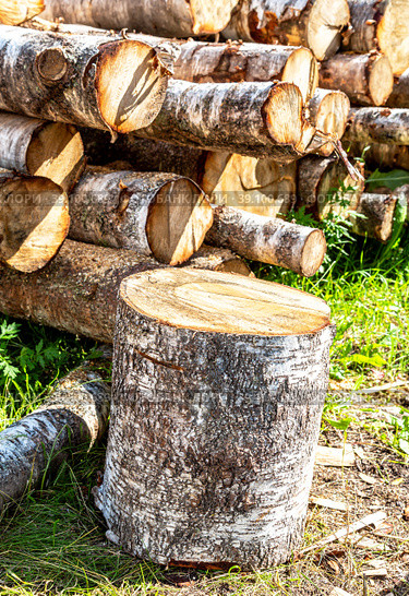 Deforestation, stacked timber at the countryside in sunny day. Стоковое фото, фотограф FotograFF / Фотобанк Лори