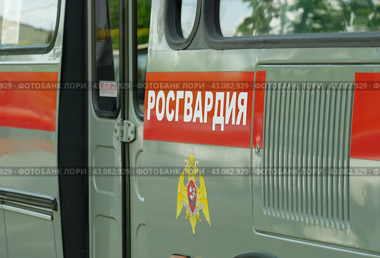Декоративное оформление машины Росгвардии (2024 год). Редакционное фото, фотограф Ольга Дмитренко / Фотобанк Лори