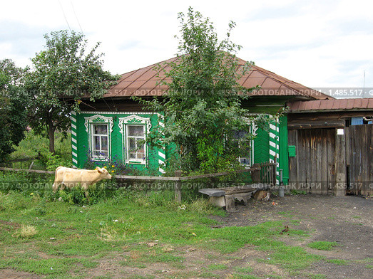 Деревенский дом и теленок у ограды. Стоковое фото, фотограф Татьяна Злобина / Фотобанк Лори