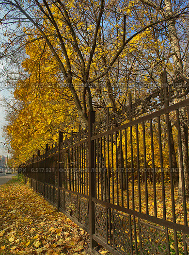 Деревья за оградой городского парка осенью. Москва (2014 год). Стоковое фото, фотограф Самойлова Екатерина / Фотобанк Лори