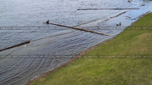 Деревянный настил причала под водой из-за повышения уровня воды во время весеннего паводка в мае. Петрозаводск, набережная Онежского озера, плавают утки. (2024 год). Стоковое видео, видеограф Sergei Gorin / Фотобанк Лори
